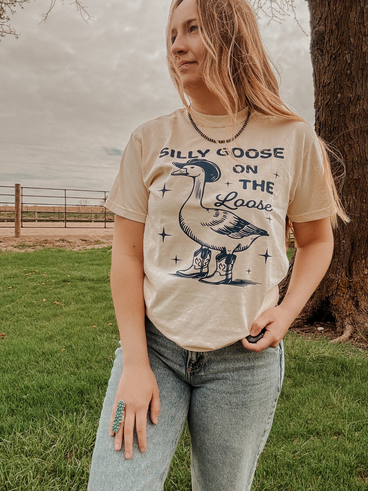 Silly goose on the loose