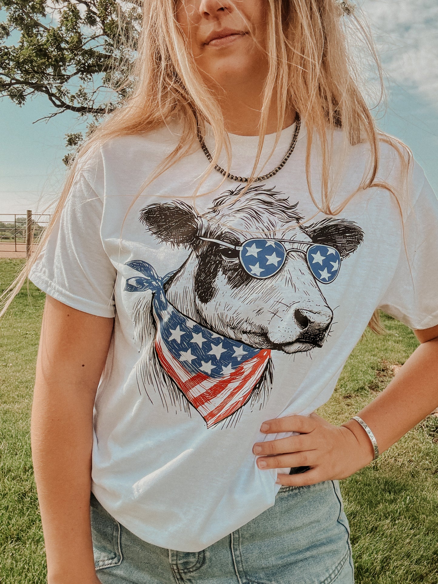 Patriotic Cow