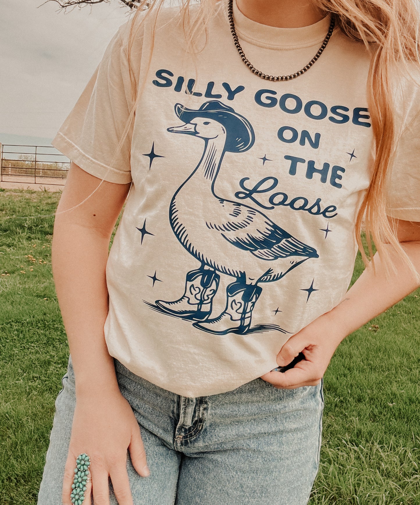 Silly goose on the loose