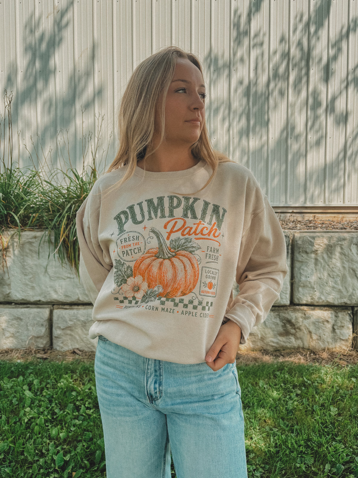 Pumpkin Patch